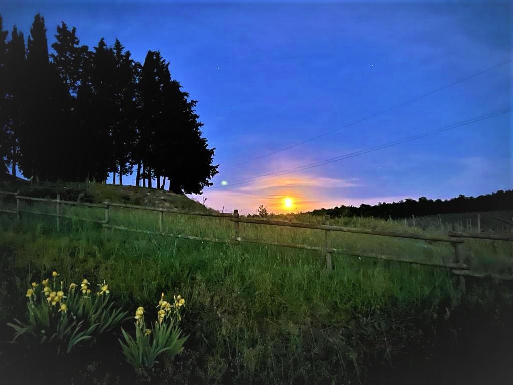 Podere La Selva Rapolano Terme Dış mekan fotoğraf