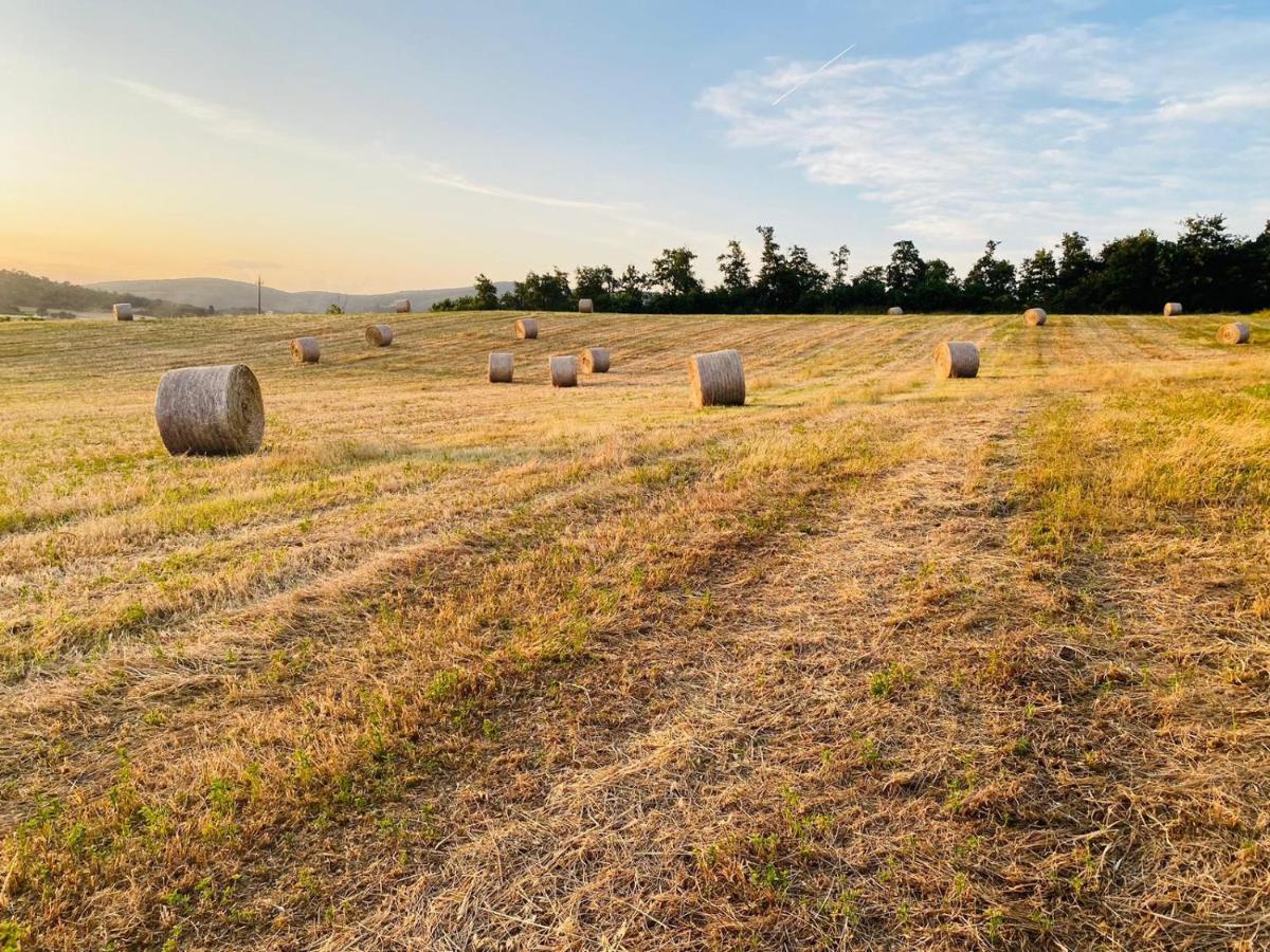 Podere La Selva Rapolano Terme Dış mekan fotoğraf
