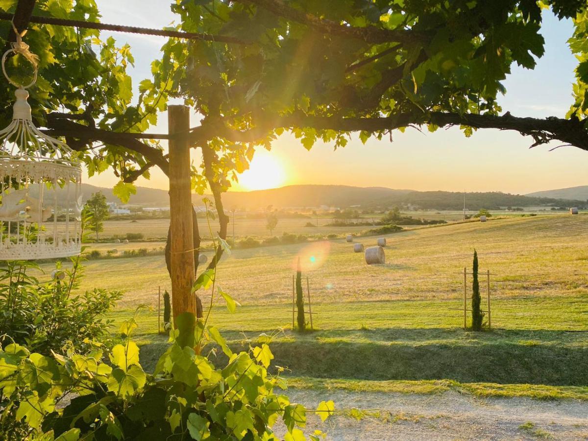 Podere La Selva Rapolano Terme Dış mekan fotoğraf
