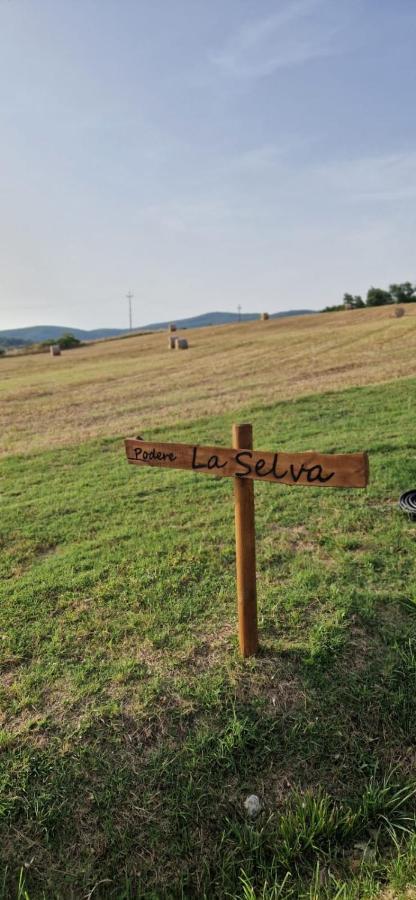 Podere La Selva Rapolano Terme Dış mekan fotoğraf