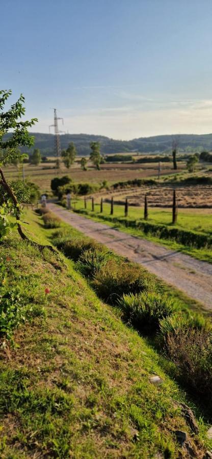 Podere La Selva Rapolano Terme Dış mekan fotoğraf