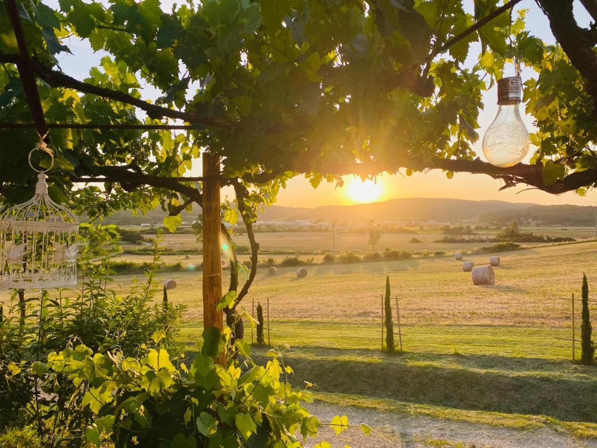 Podere La Selva Rapolano Terme Dış mekan fotoğraf