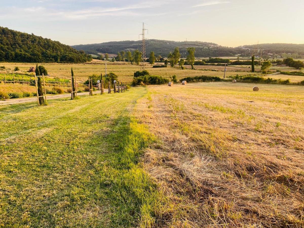 Podere La Selva Rapolano Terme Dış mekan fotoğraf