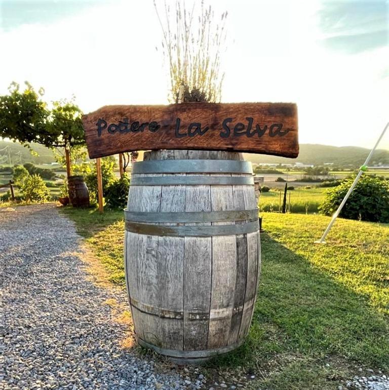 Podere La Selva Rapolano Terme Dış mekan fotoğraf